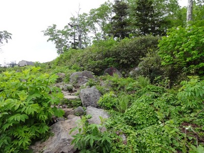 DSC00457.jpg