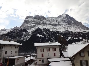 DSC01784.jpg