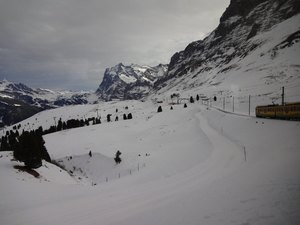 DSC01792.jpg