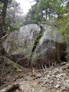 DSC03184.jpg