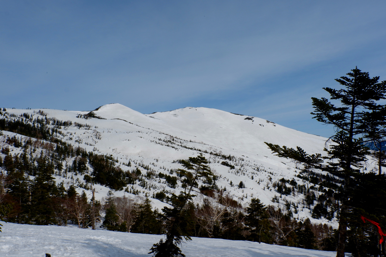 至仏山 尾瀬ランド Gw残雪期 貧乏性の初心者登山