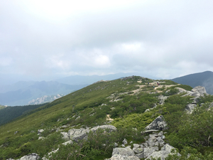 IMG_2279 (1).jpg