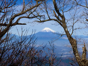 IMG_2596.jpg